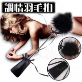 SM 性愛遊戲‧調情羽毛拍﹝雙邊均可玩﹞