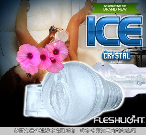 美國Fleshlight - ICE Lady Crystal 透明陰唇整組